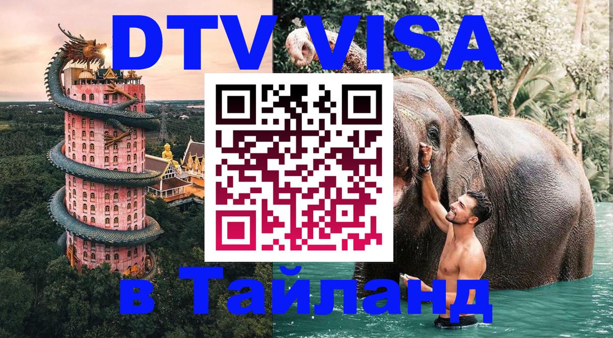 Сколько стоит DTV виза — актуальные цены, оформление даже без документов - 18.11.2025 